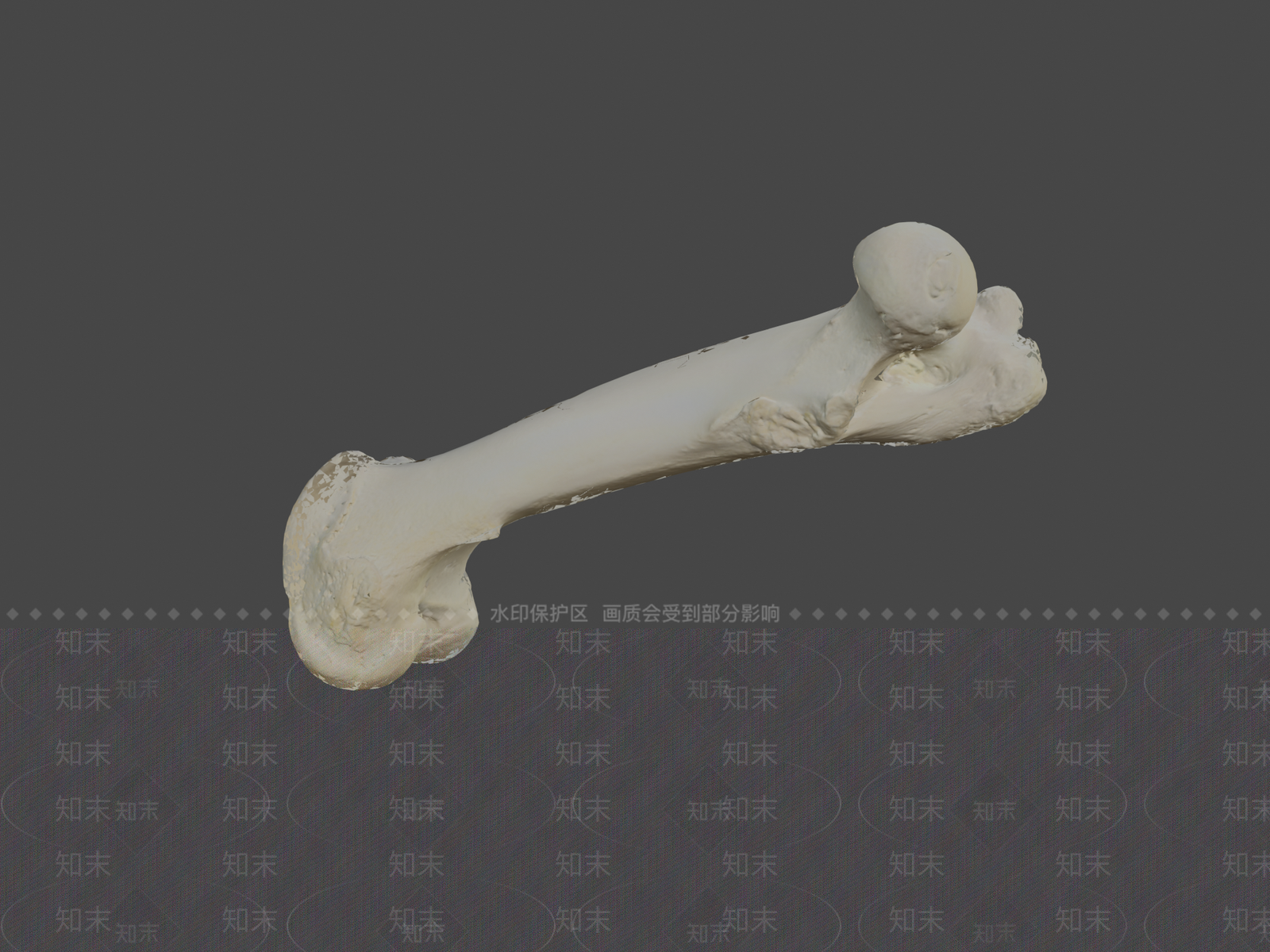 虚拟人物3D模型下载【ID:1197360053】