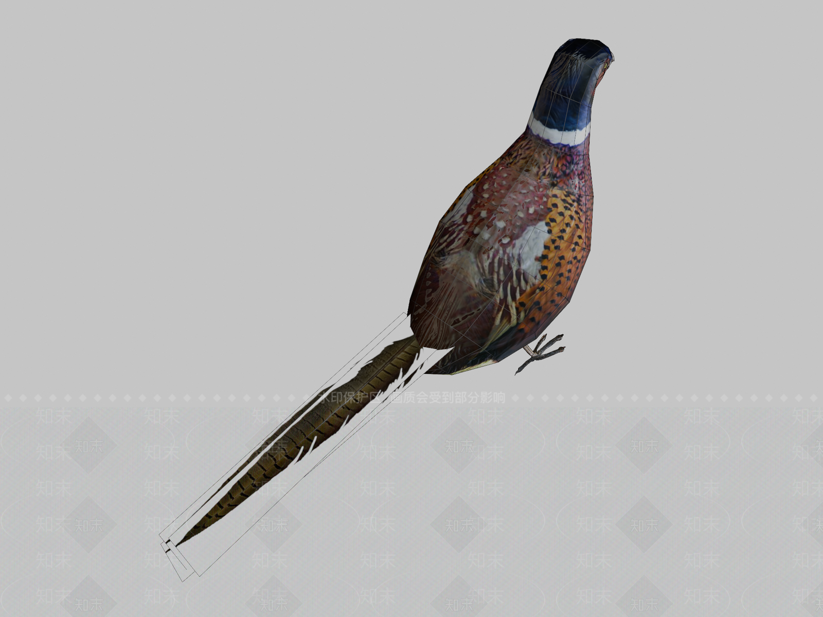 飞行类动物3D模型下载【ID:1197362133】