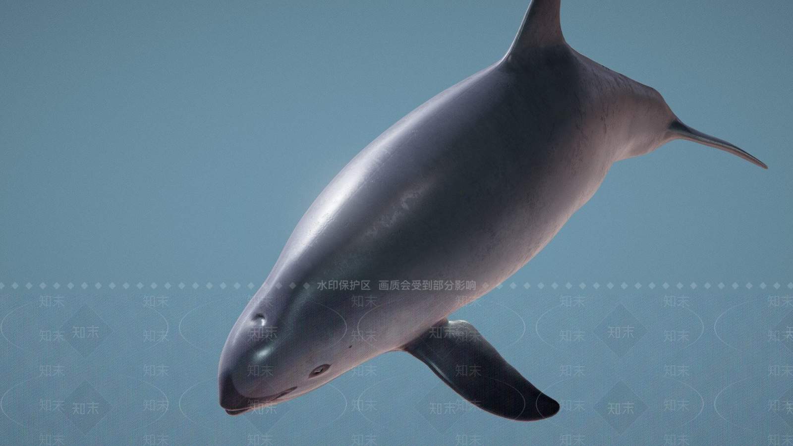 其他动物3D模型下载【ID:1197362740】