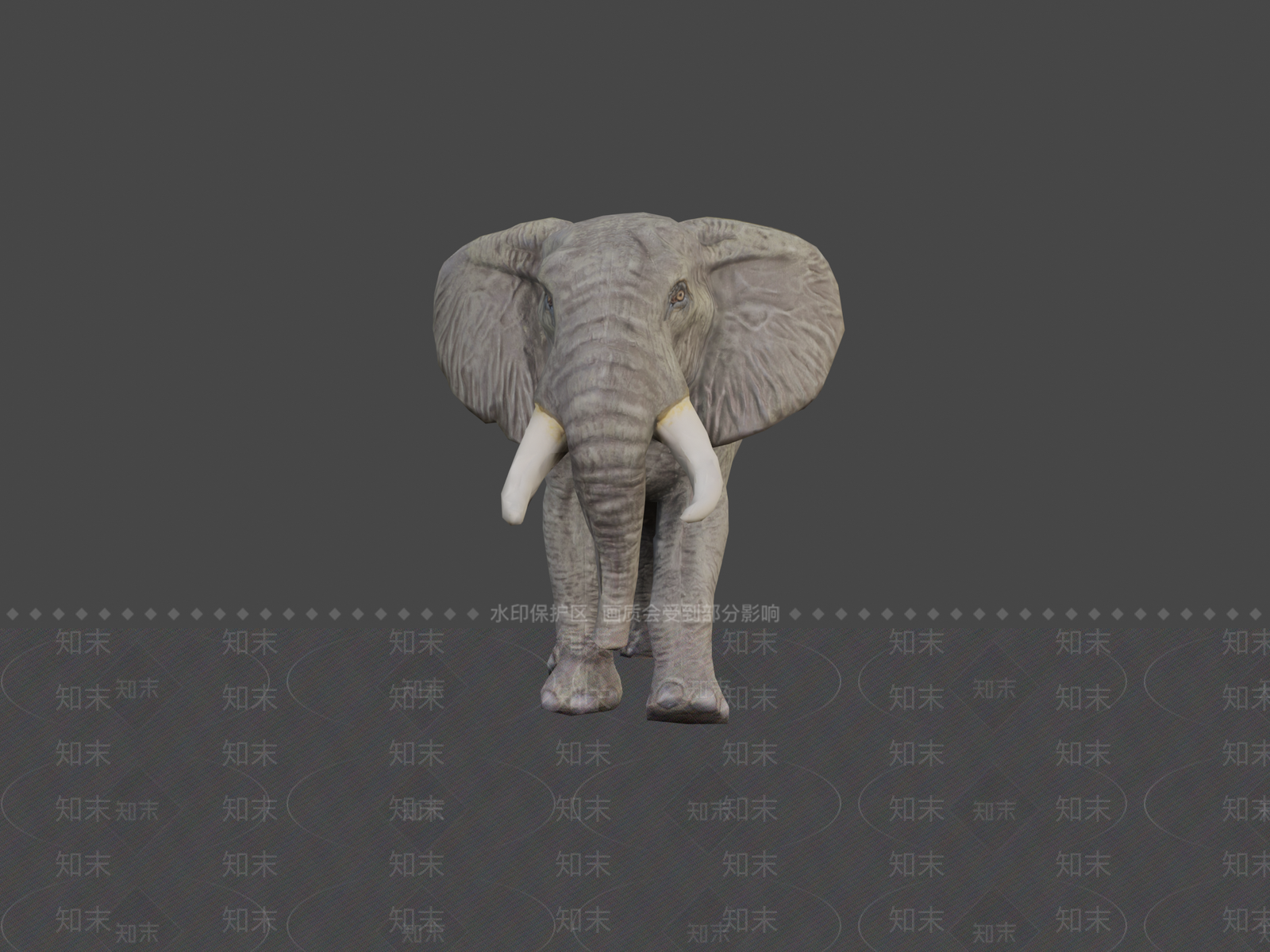 其他动物3D模型下载【ID:1197365547】