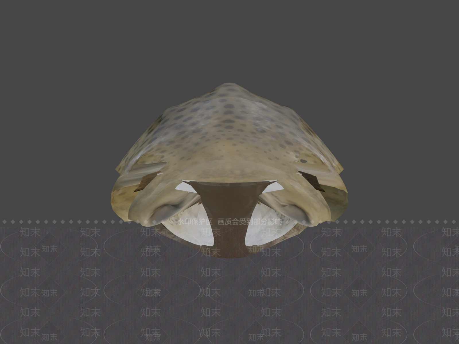 其他动物3D模型下载【ID:1197366216】