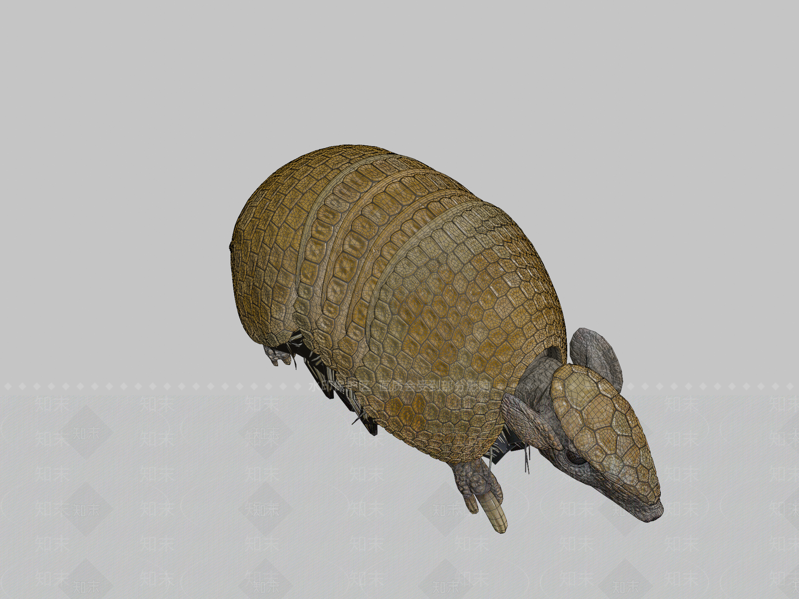 其他动物3D模型下载【ID:1197367522】