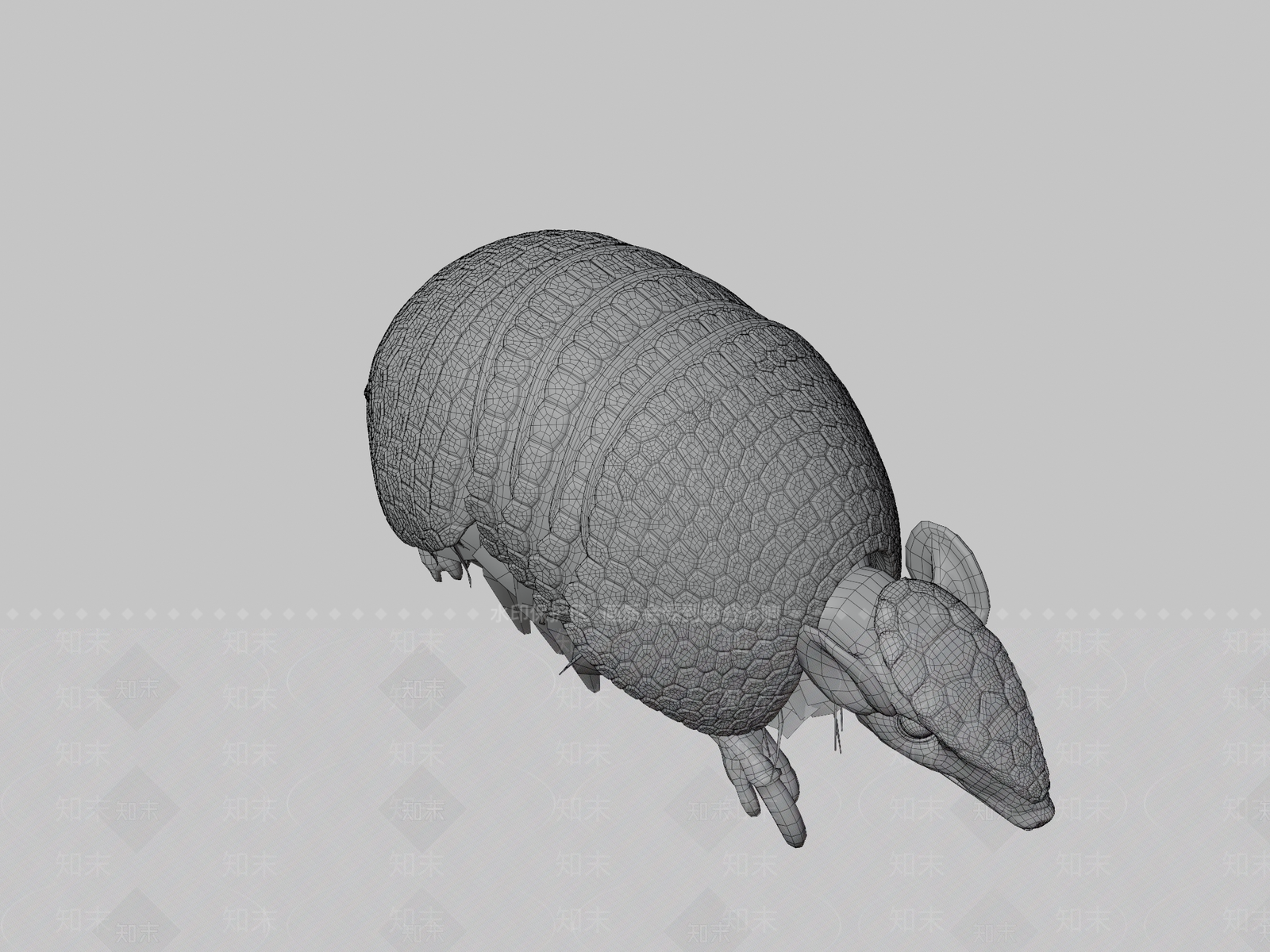 其他动物3D模型下载【ID:1197367522】