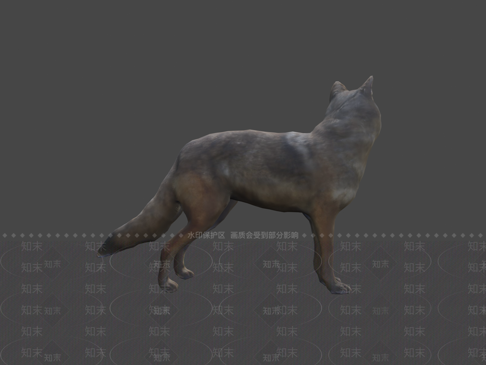 其他动物3D模型下载【ID:1197367558】