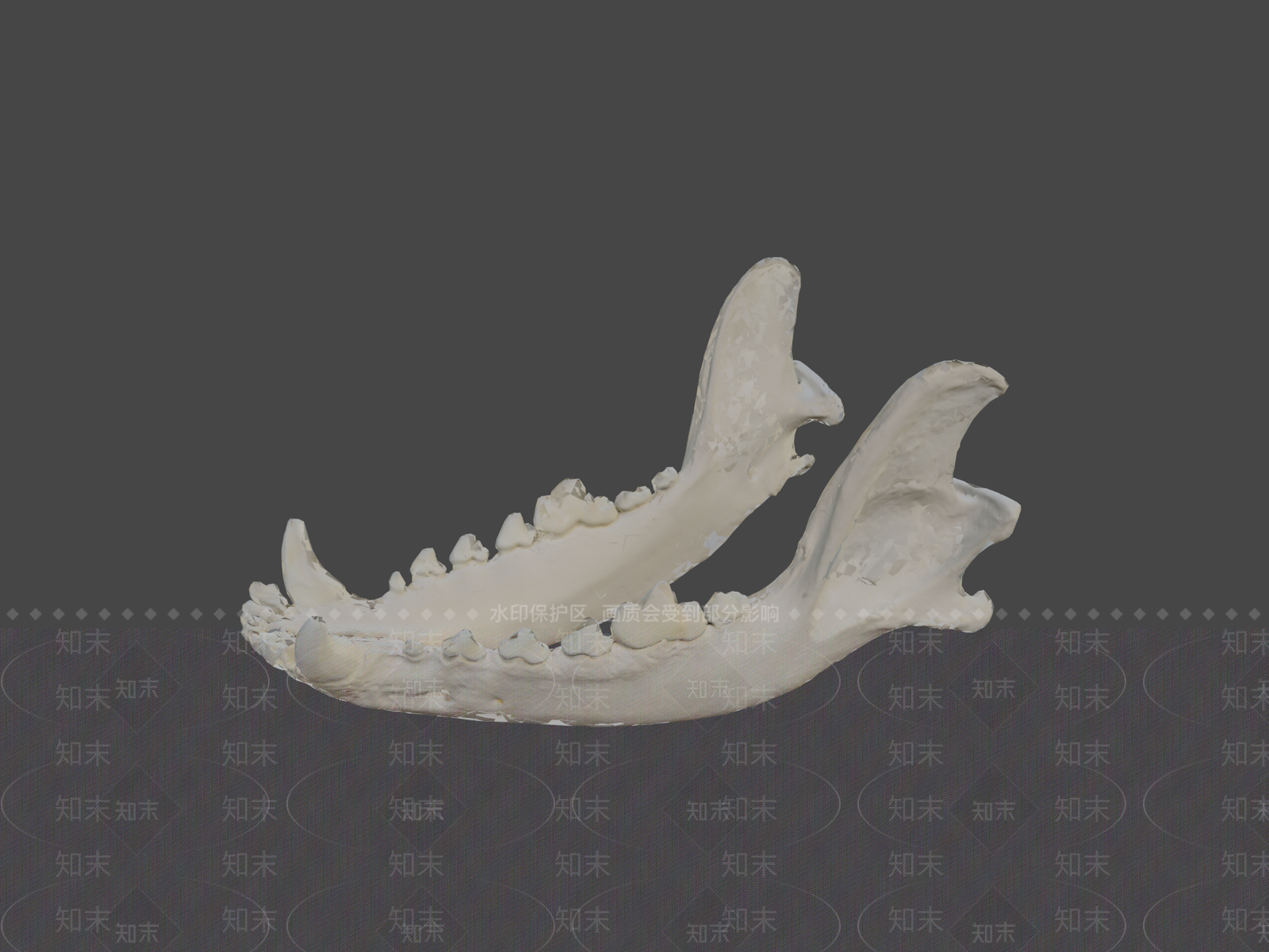 其他动物3D模型下载【ID:1197367966】