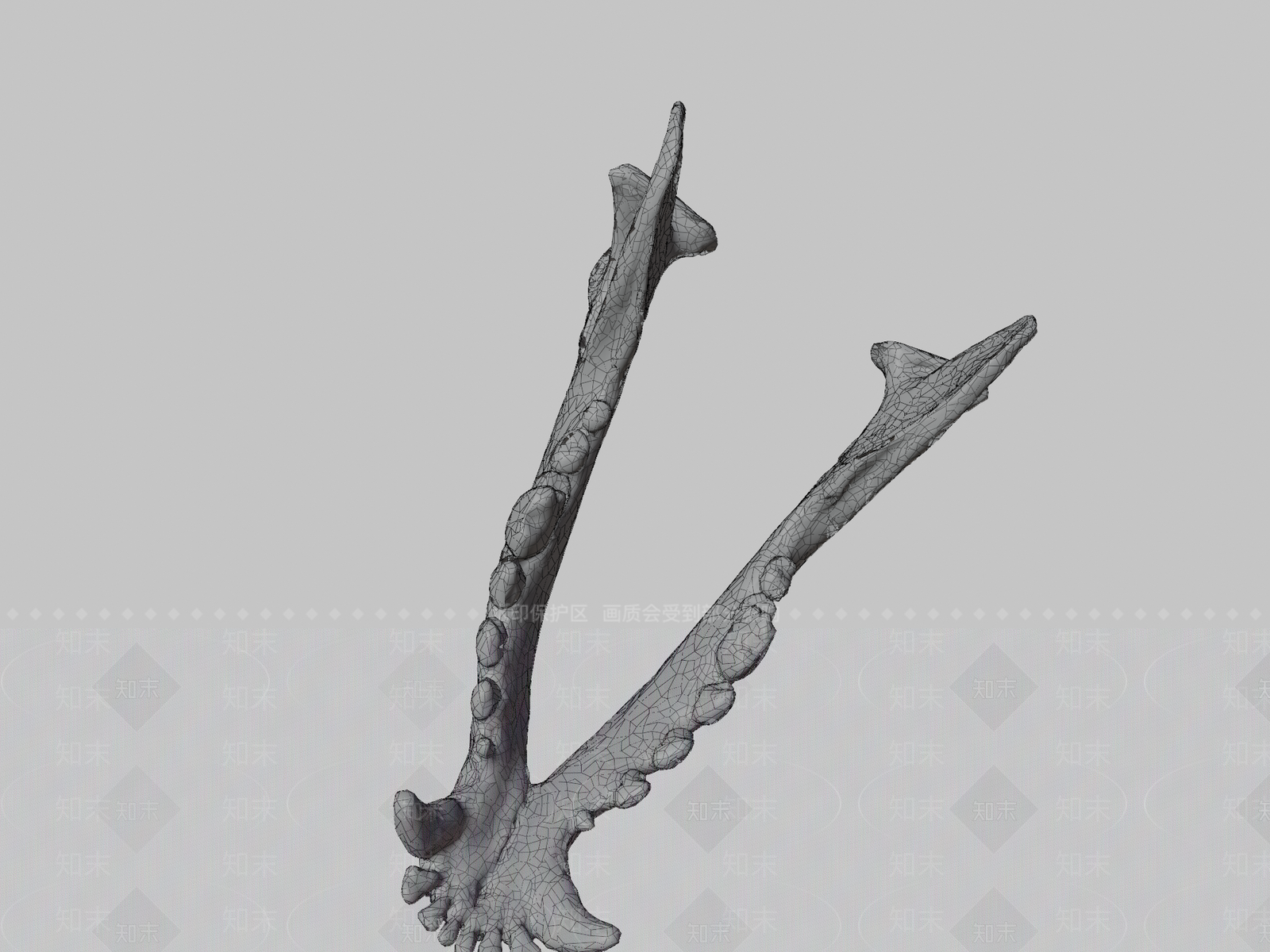 其他动物3D模型下载【ID:1197367966】