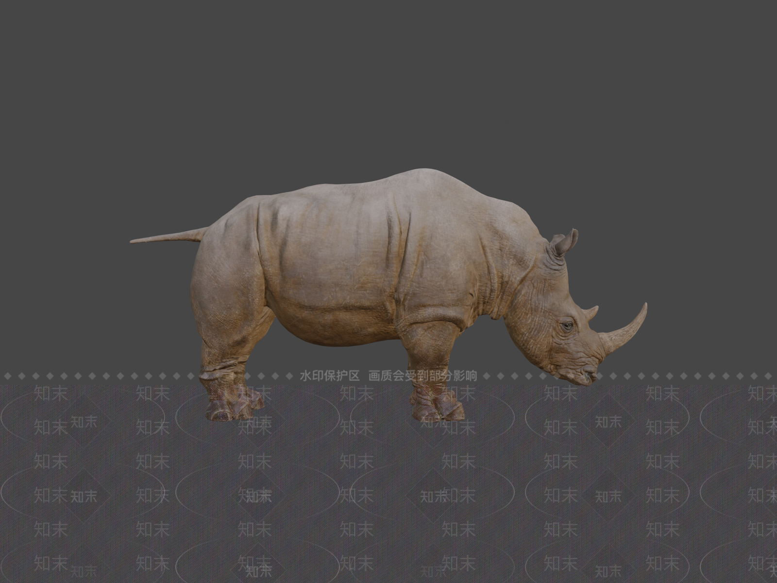 其他动物3D模型下载【ID:1197368573】