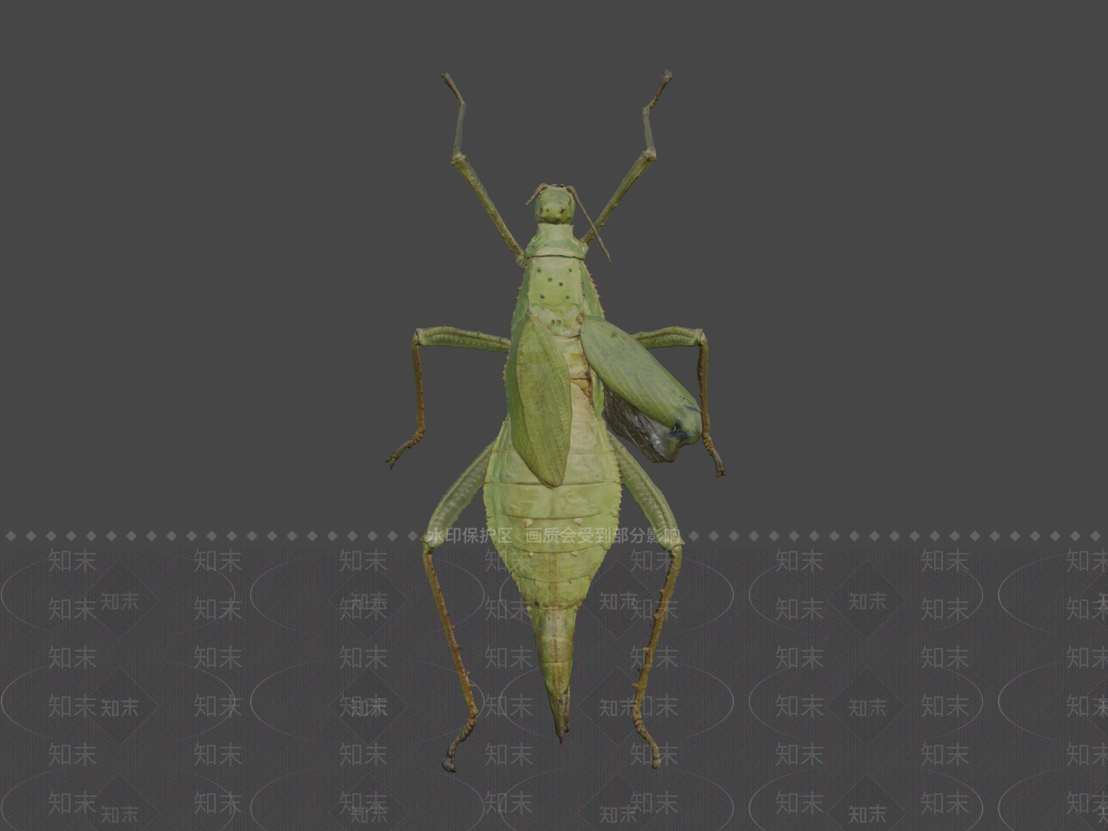 其他生活用品3D模型下载【ID:1197369061】
