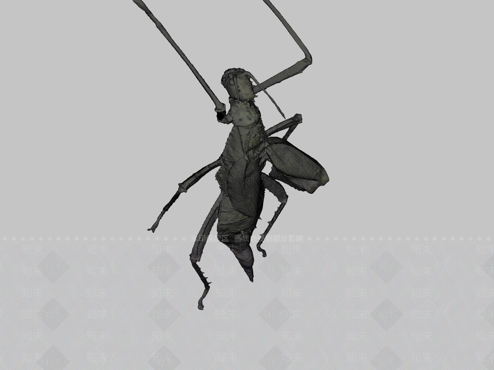 其他生活用品3D模型下载【ID:1197369061】