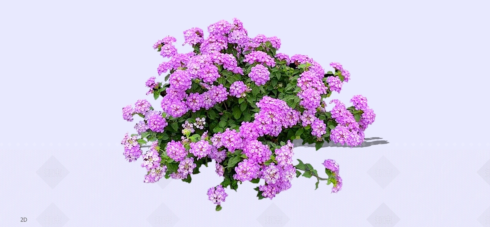 灌木SU模型下载【ID:1197370195】