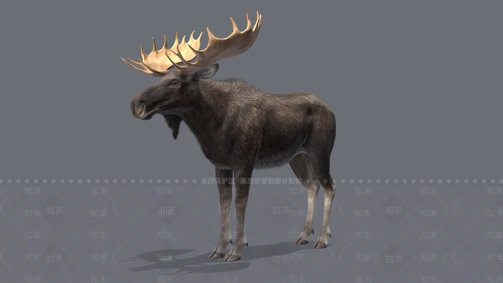 虚拟人物3D模型下载【ID:1197370238】