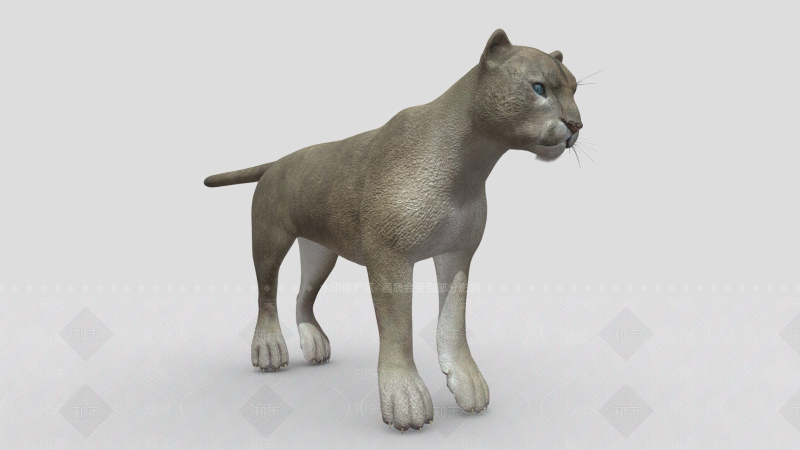 其他生活用品3D模型下载【ID:1197373914】