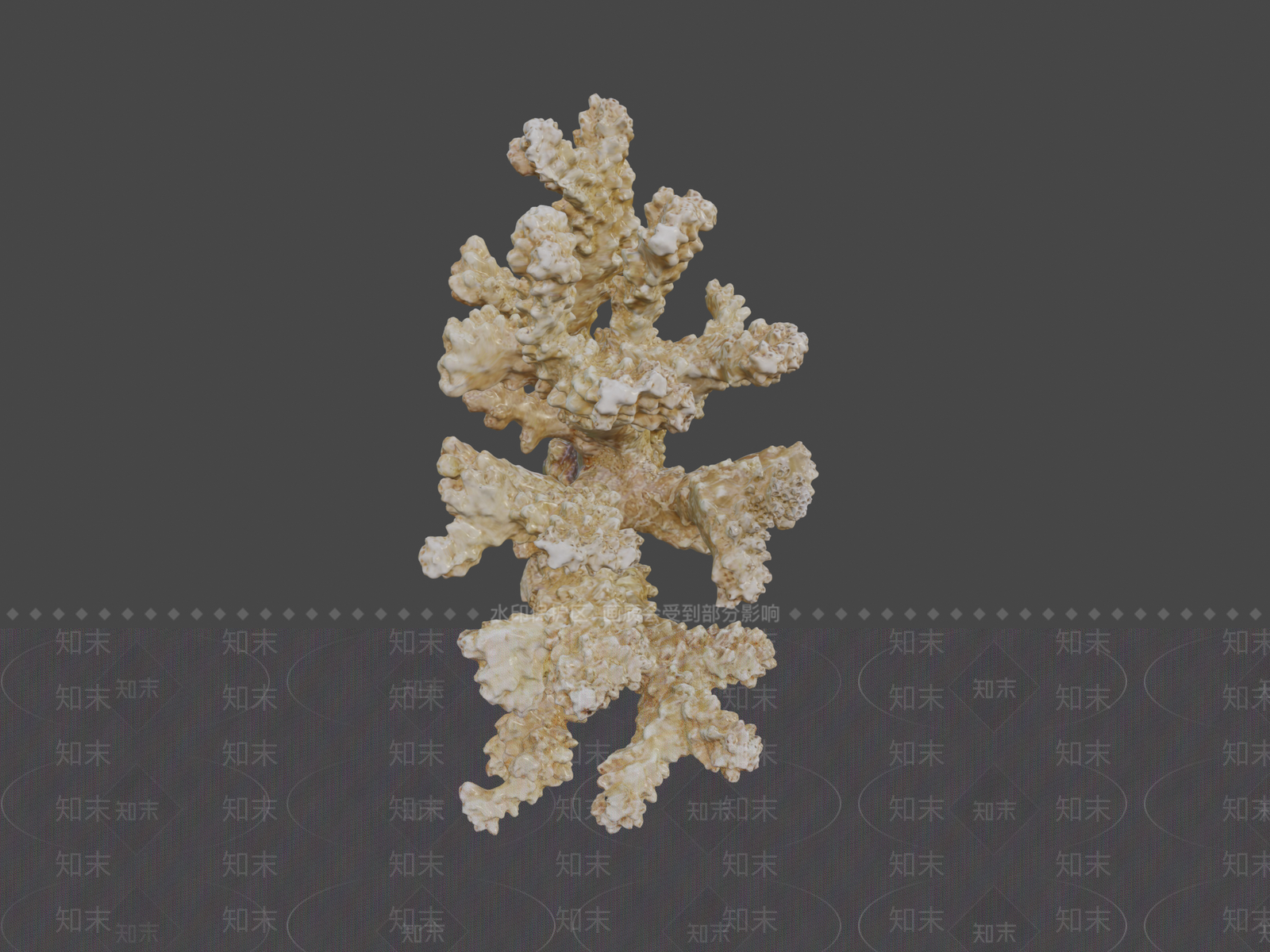其他动物3D模型下载【ID:1197374442】