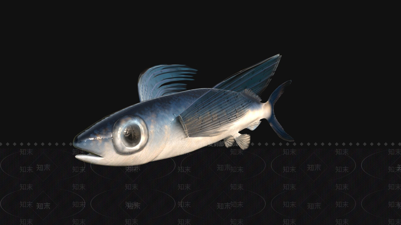 其他动物3D模型下载【ID:1197375734】