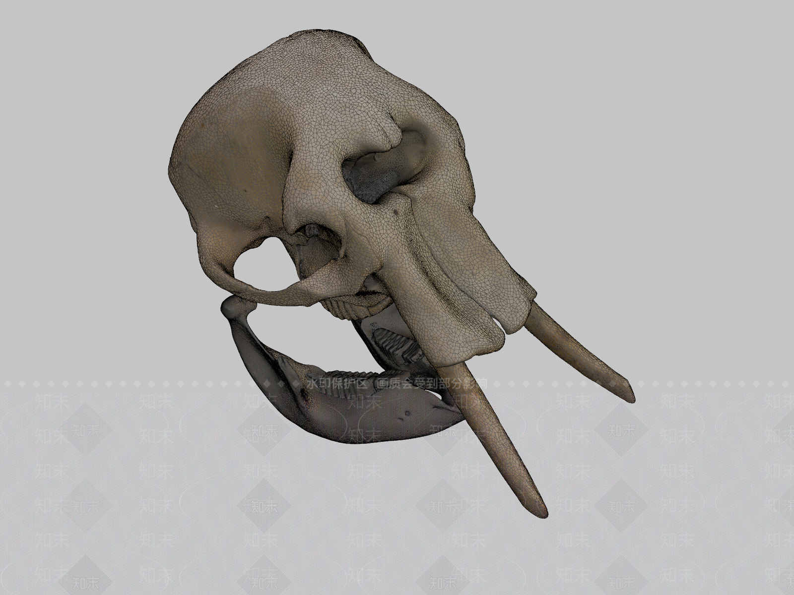 其他动物3D模型下载【ID:1197377233】