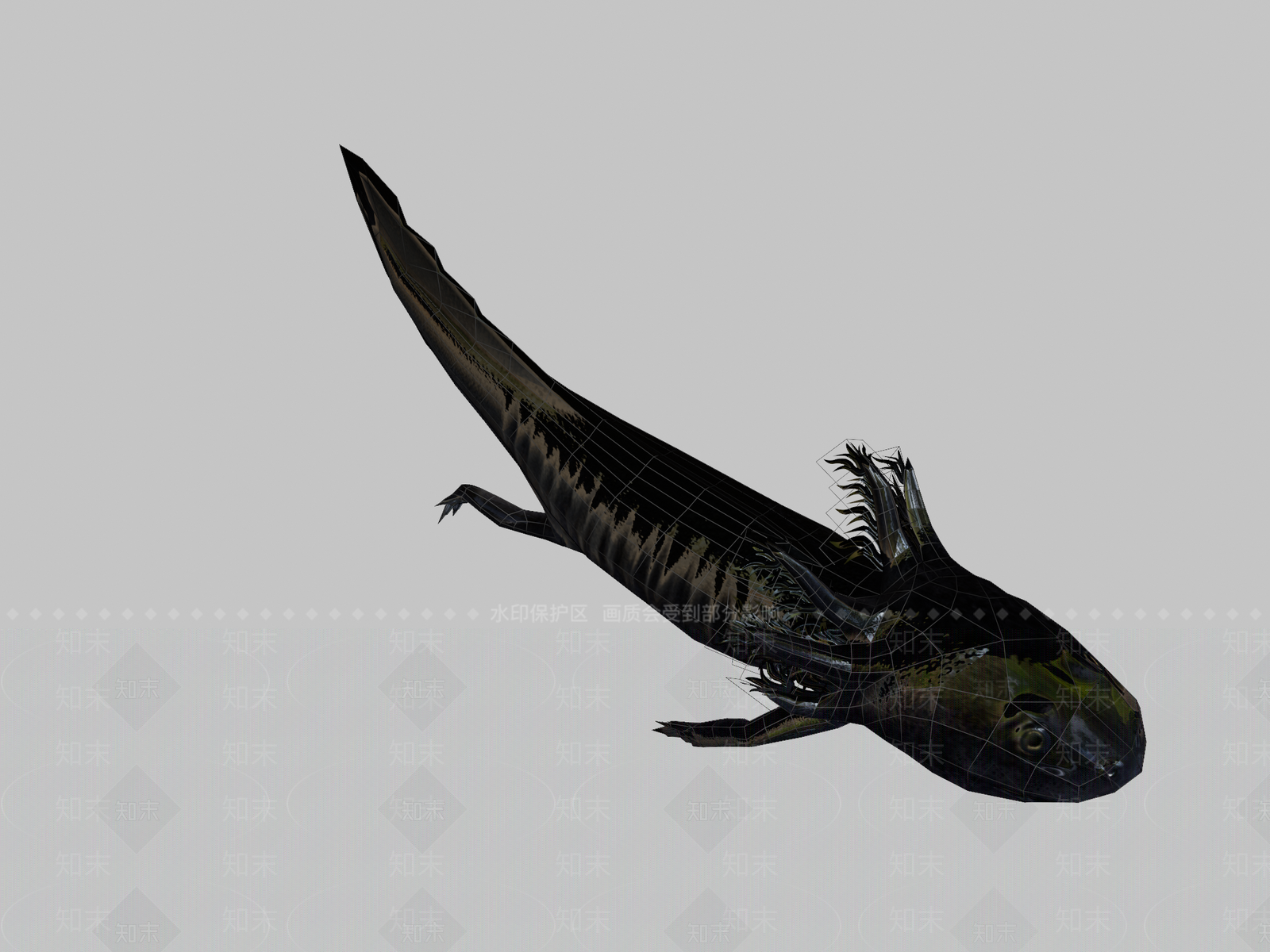 其他动物3D模型下载【ID:1197377573】