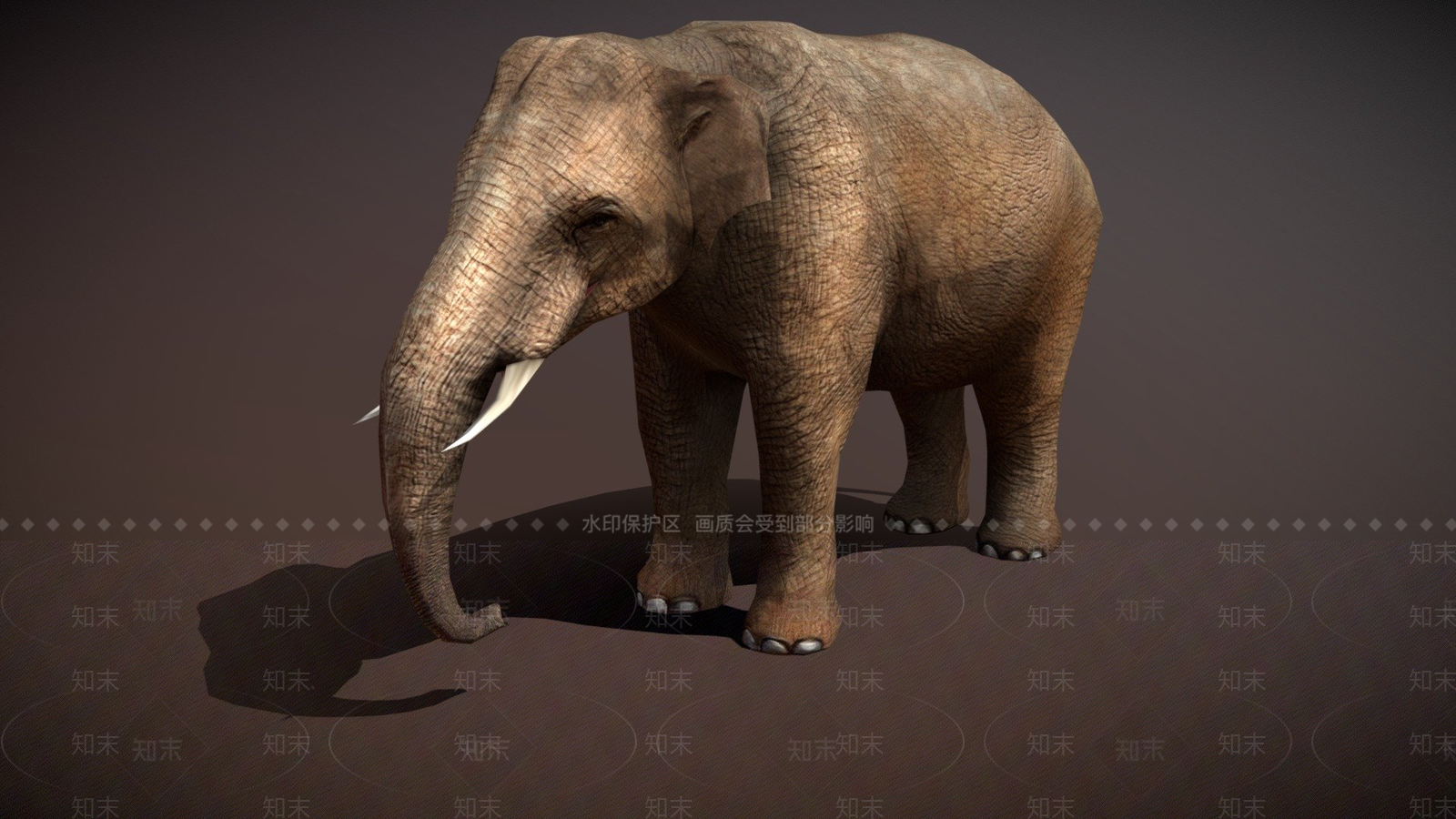 其他动物3D模型下载【ID:1197378010】