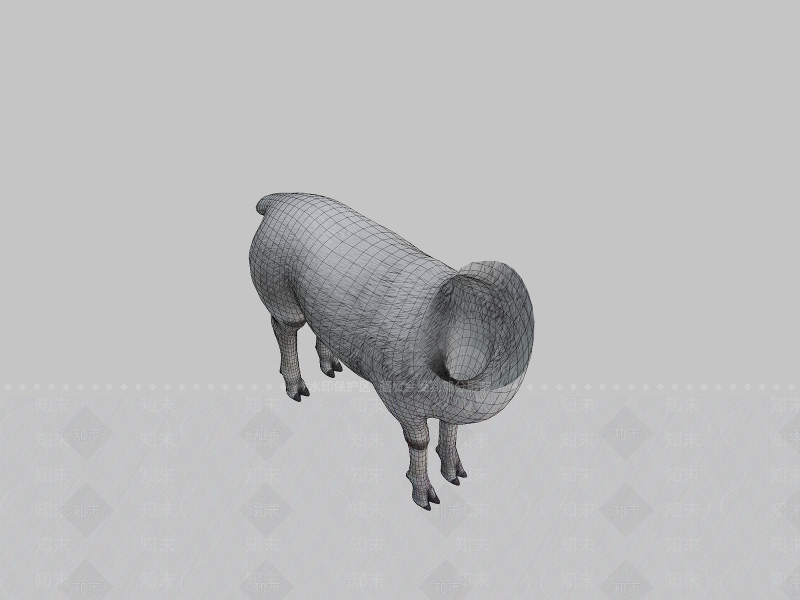 其他动物3D模型下载【ID:1197382779】