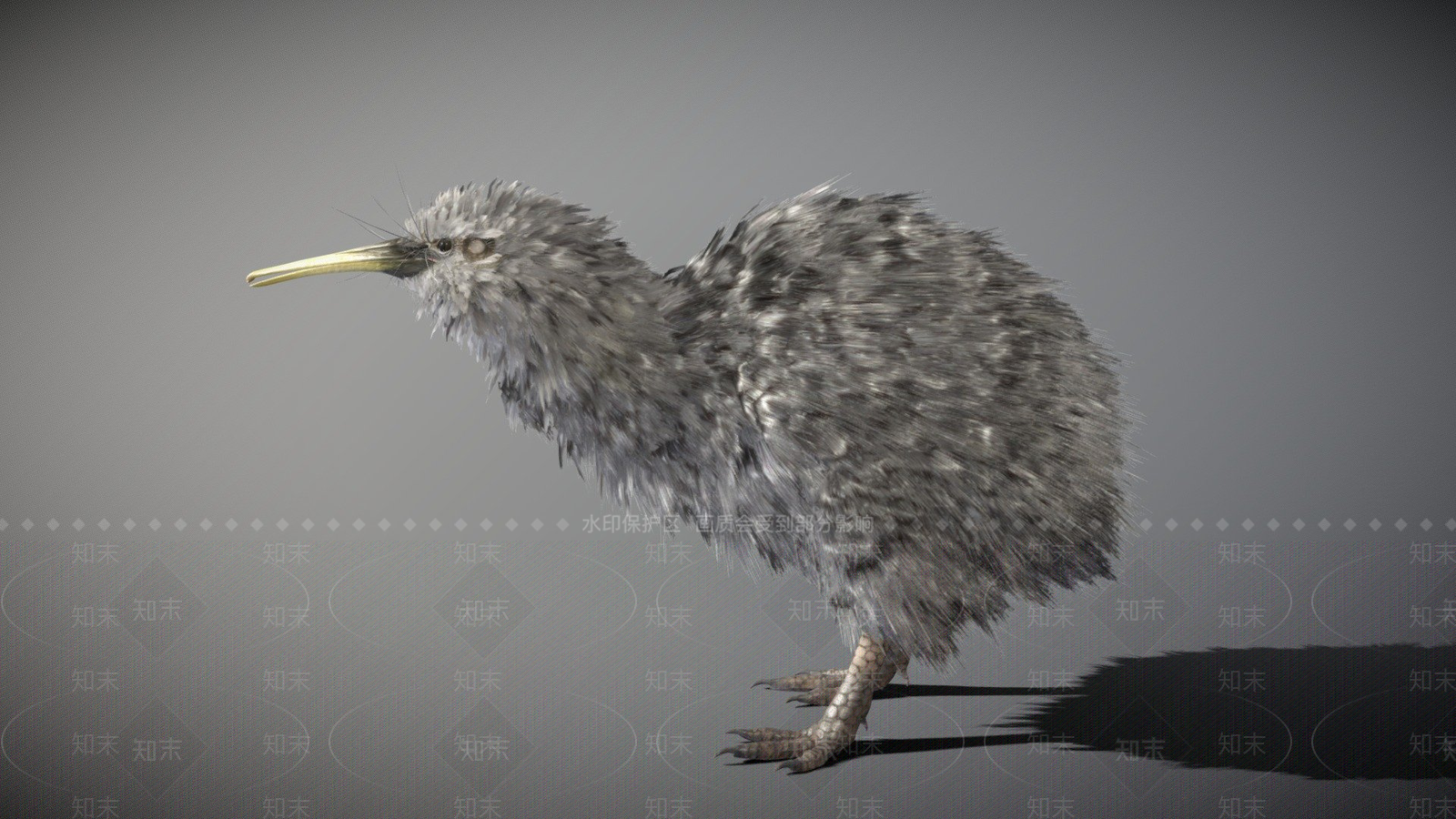 飞行类动物3D模型下载【ID:1197383903】