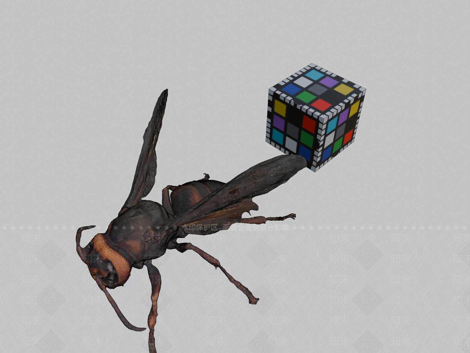其他动物3D模型下载【ID:1197388806】
