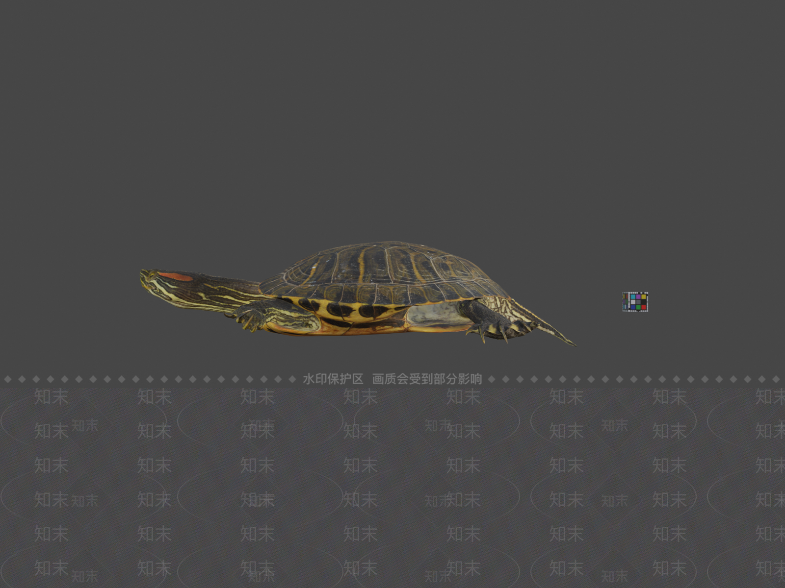 其他动物3D模型下载【ID:1197389016】