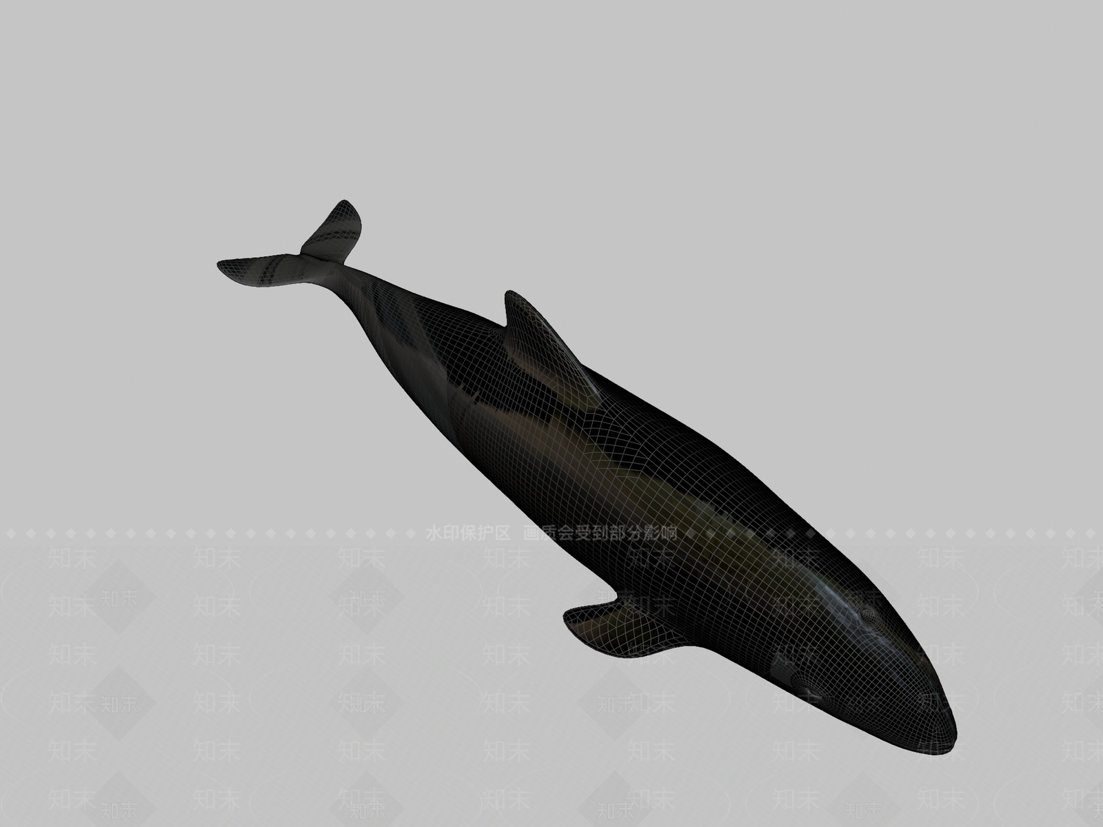 其他动物3D模型下载【ID:1197391652】