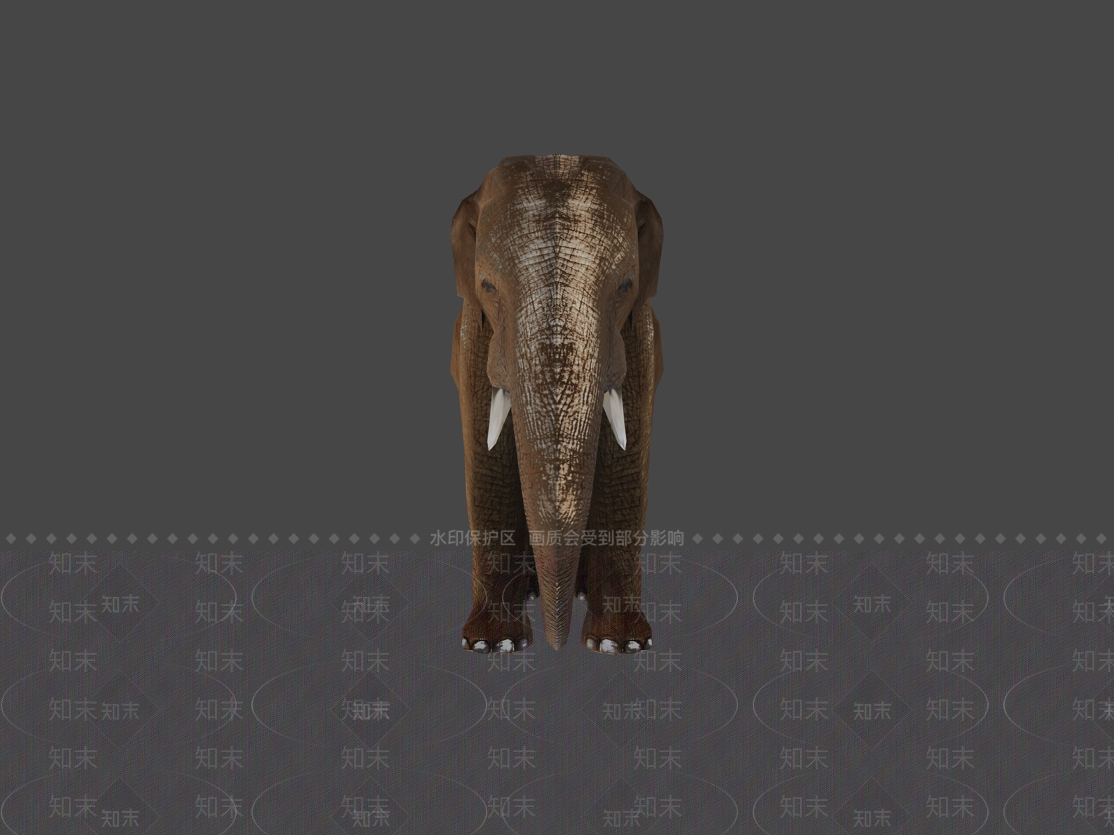 其他动物3D模型下载【ID:1197397842】