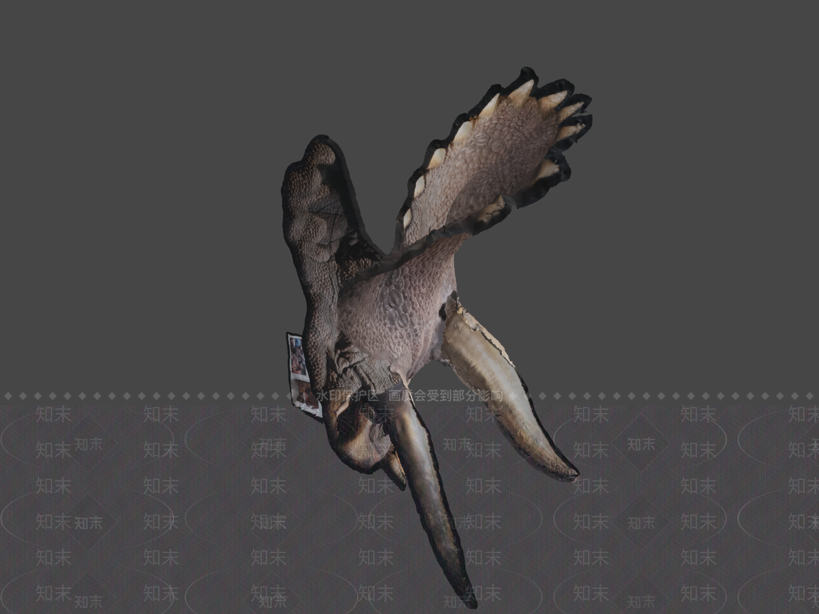 其他动物3D模型下载【ID:1197398111】