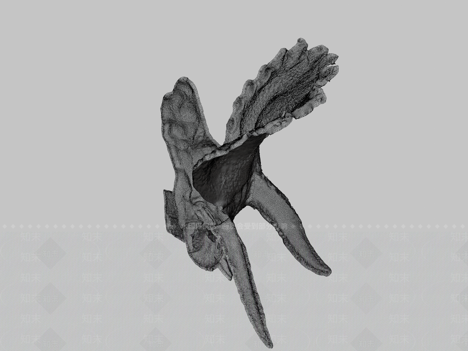 其他动物3D模型下载【ID:1197398111】