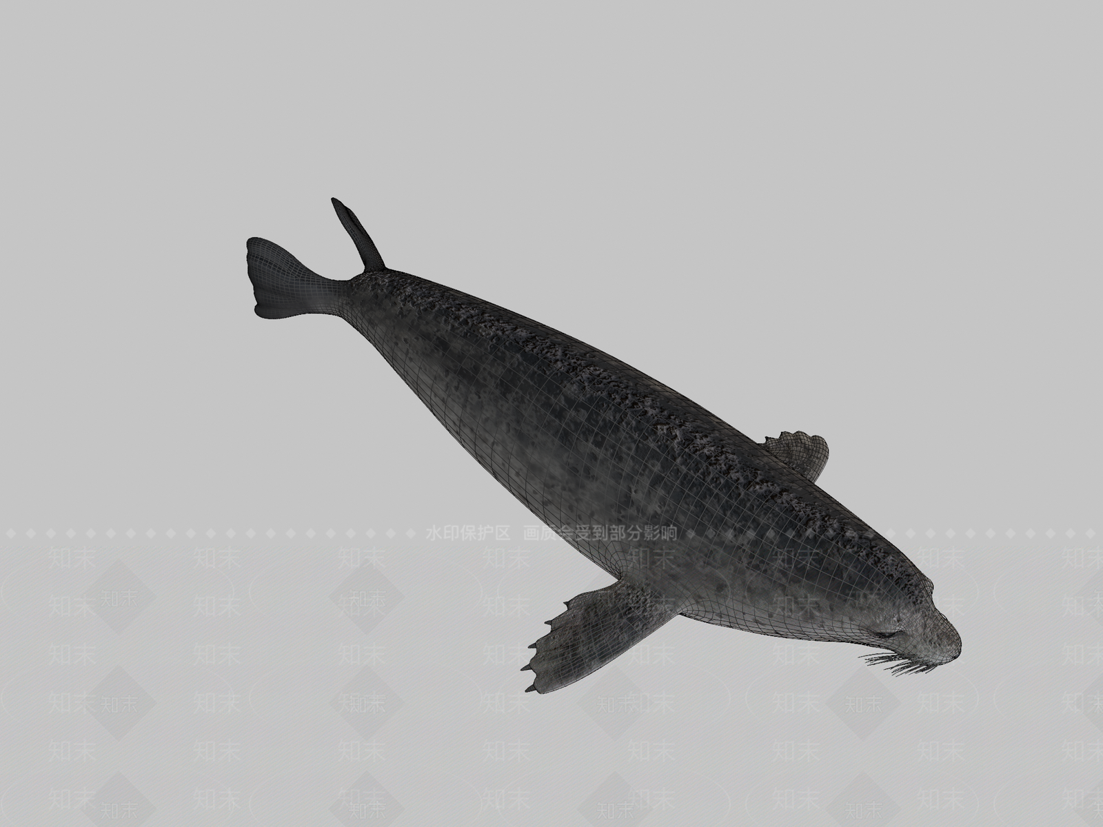 其他动物3D模型下载【ID:1197400913】