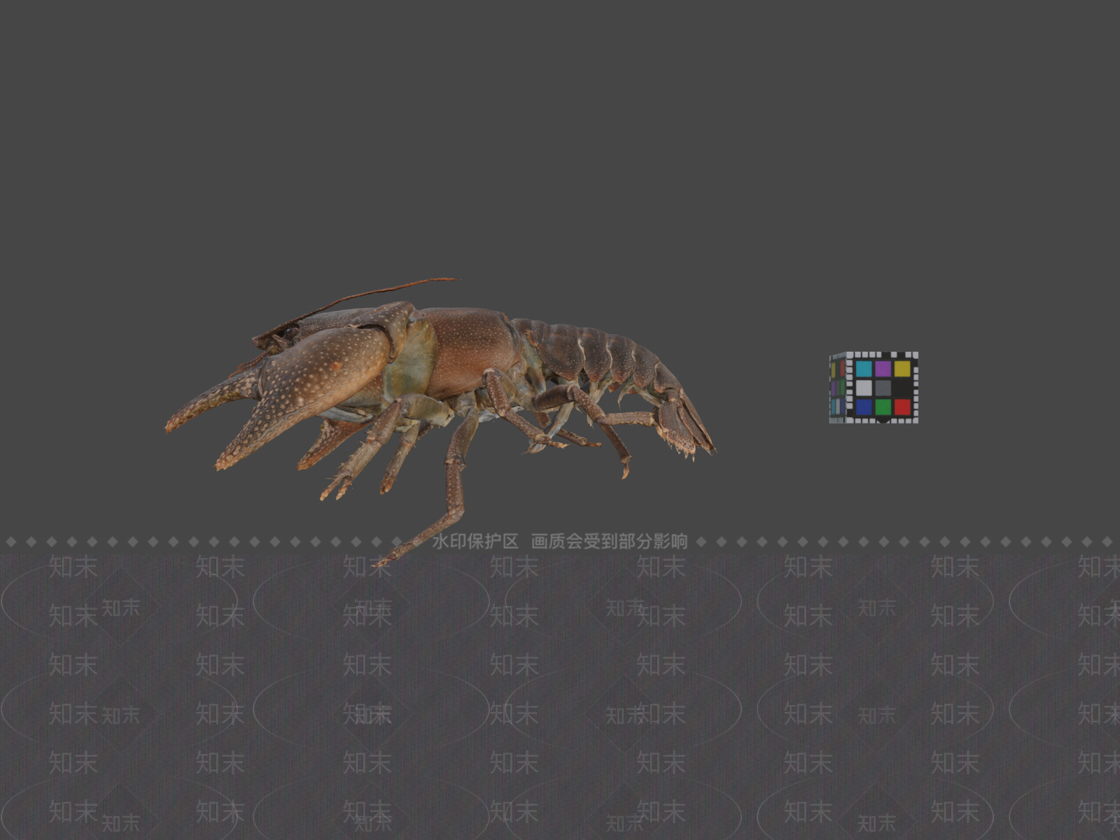 其他动物3D模型下载【ID:1197401878】