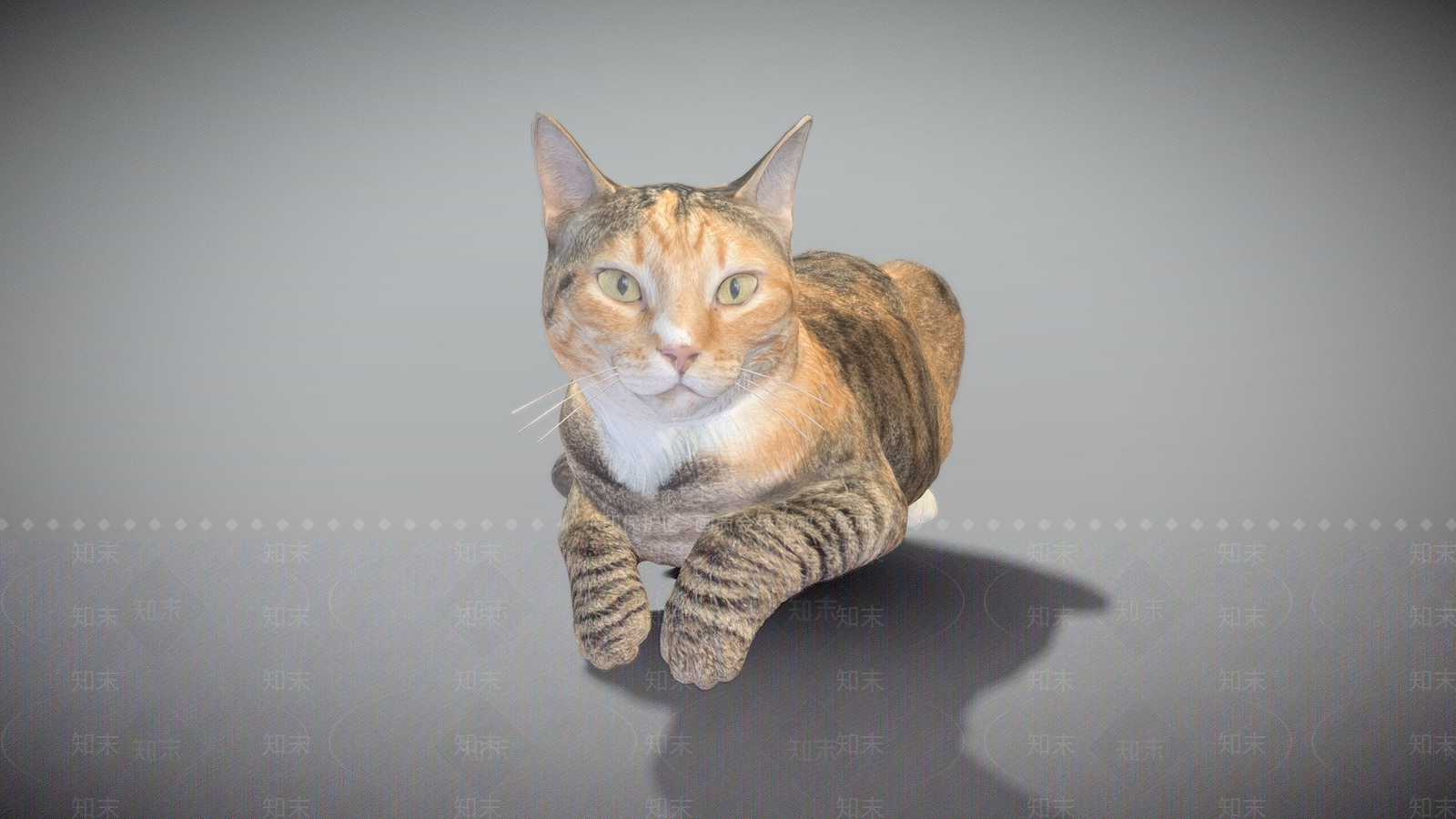虚拟人物3D模型下载【ID:1197401924】