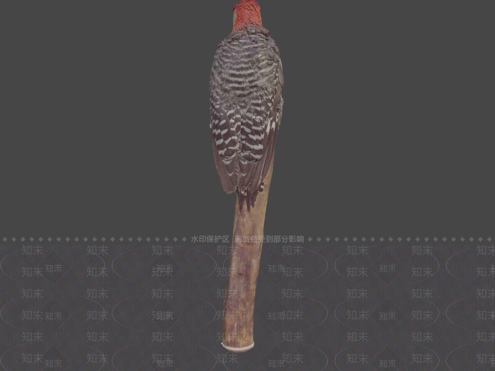 其他动物3D模型下载【ID:1197402333】