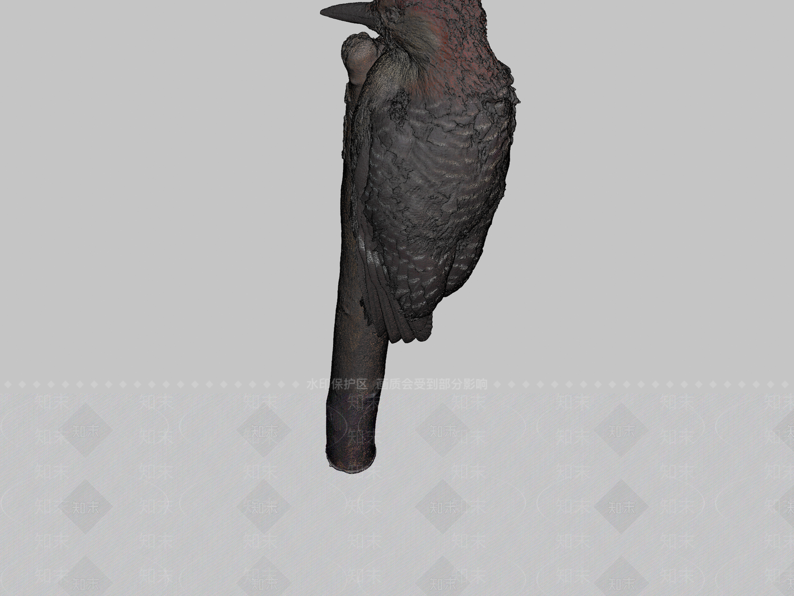 其他动物3D模型下载【ID:1197402333】