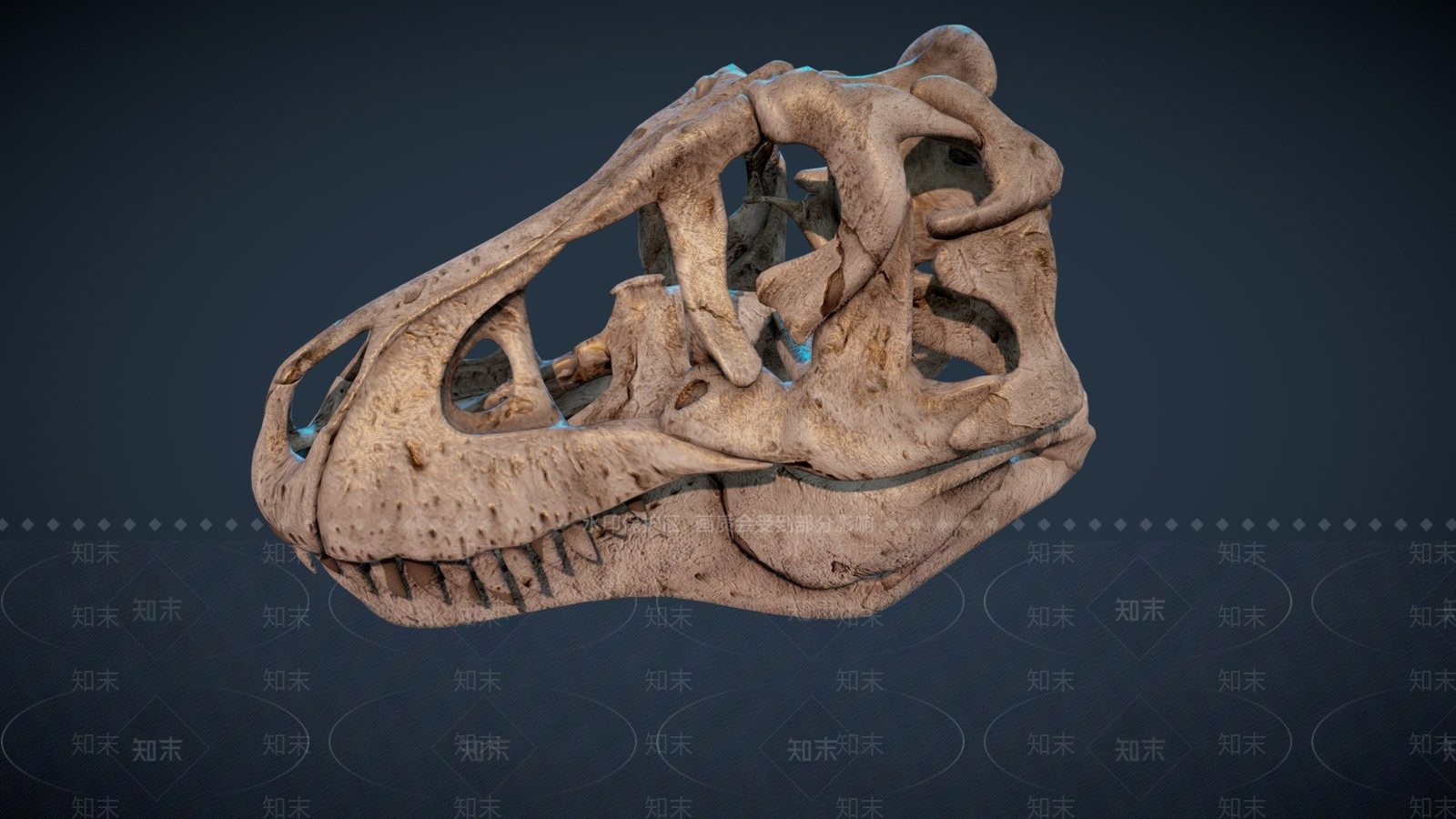 其他动物3D模型下载【ID:1197403709】