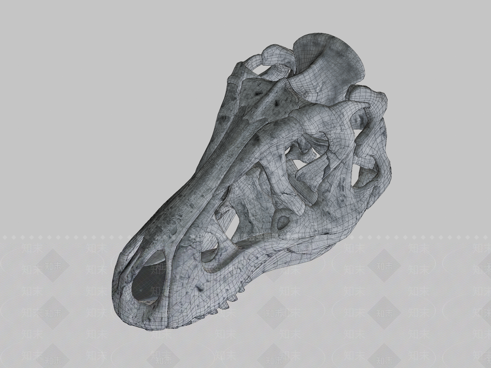 其他动物3D模型下载【ID:1197403709】