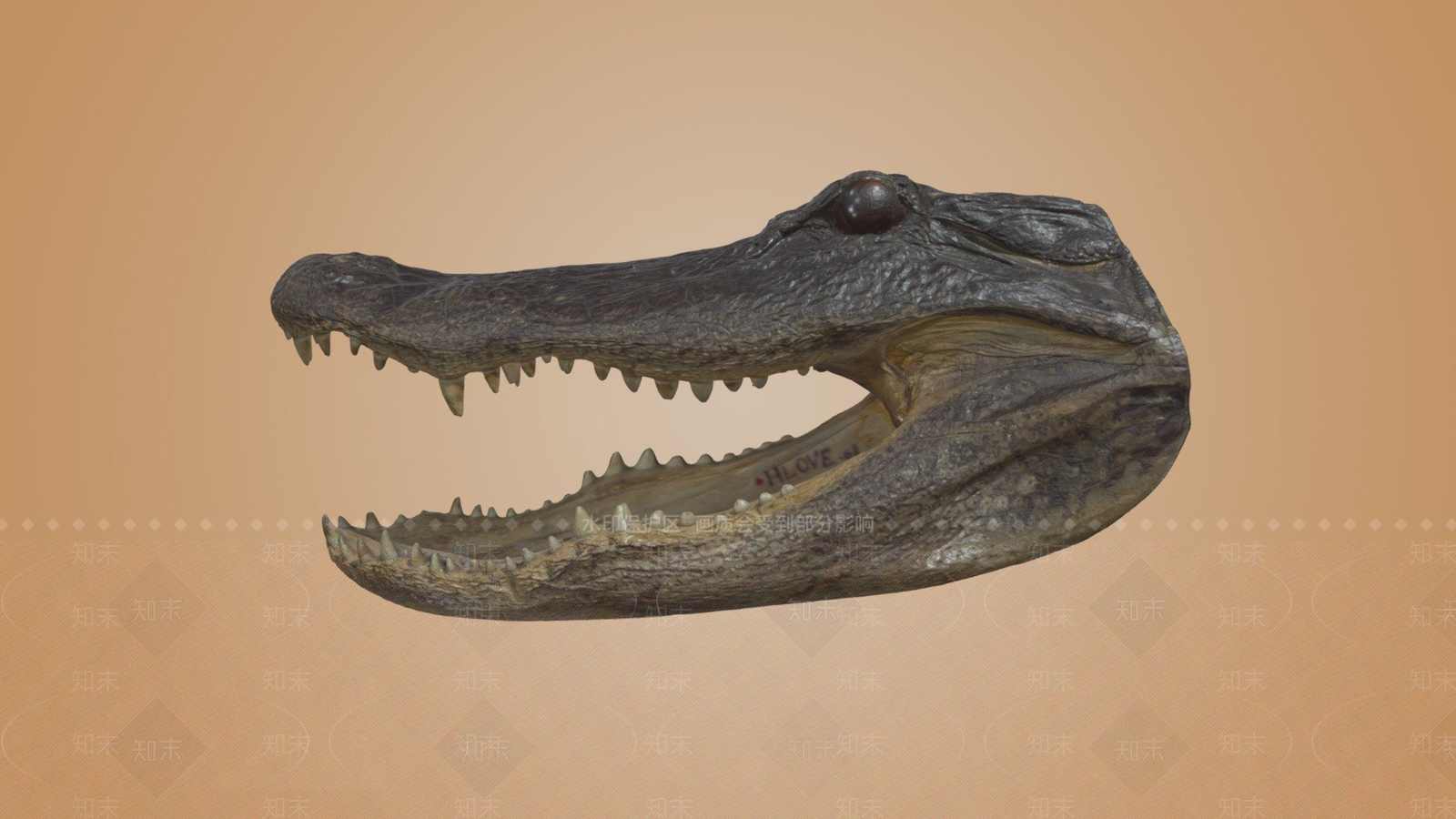 其他生活用品3D模型下载【ID:1197404127】
