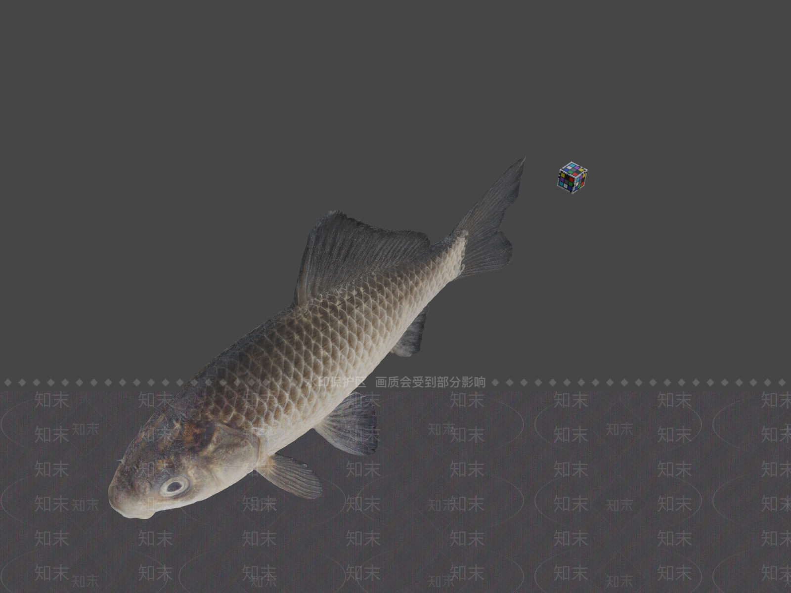 其他绿植3D模型下载【ID:1197404413】