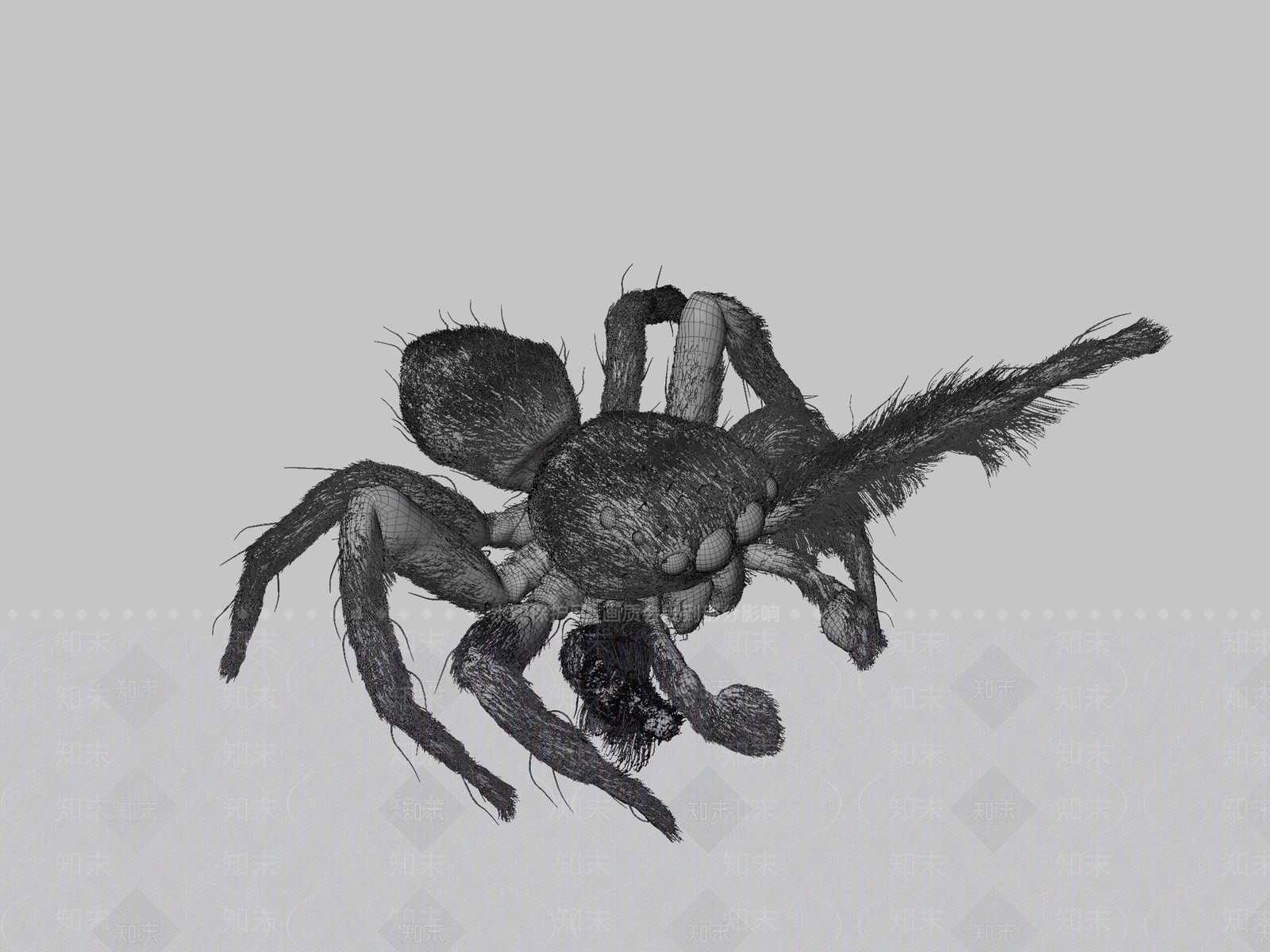 其他动物3D模型下载【ID:1197404983】