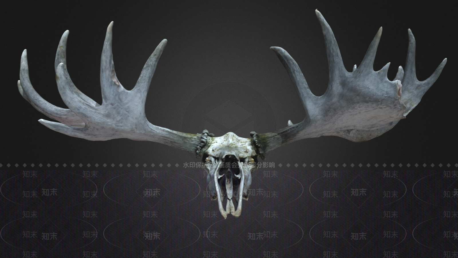 其他动物3D模型下载【ID:1197405025】