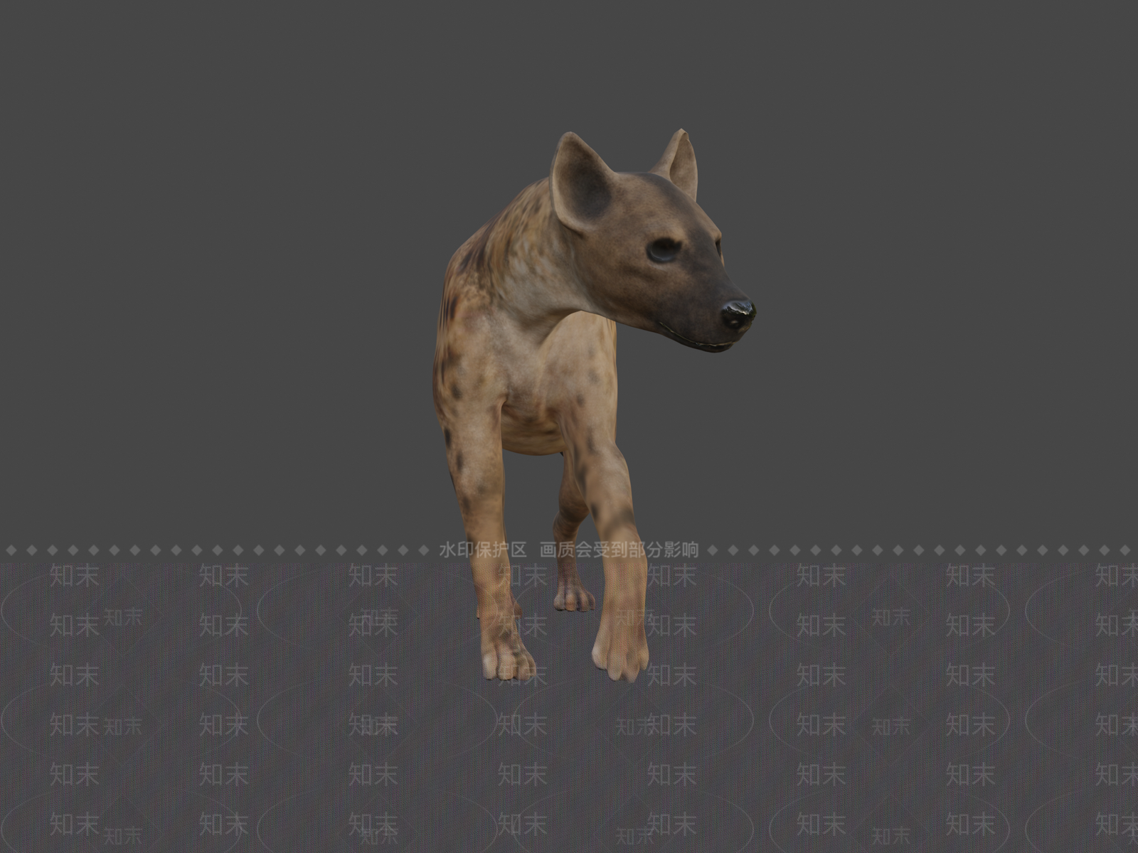 其他动物3D模型下载【ID:1197420670】