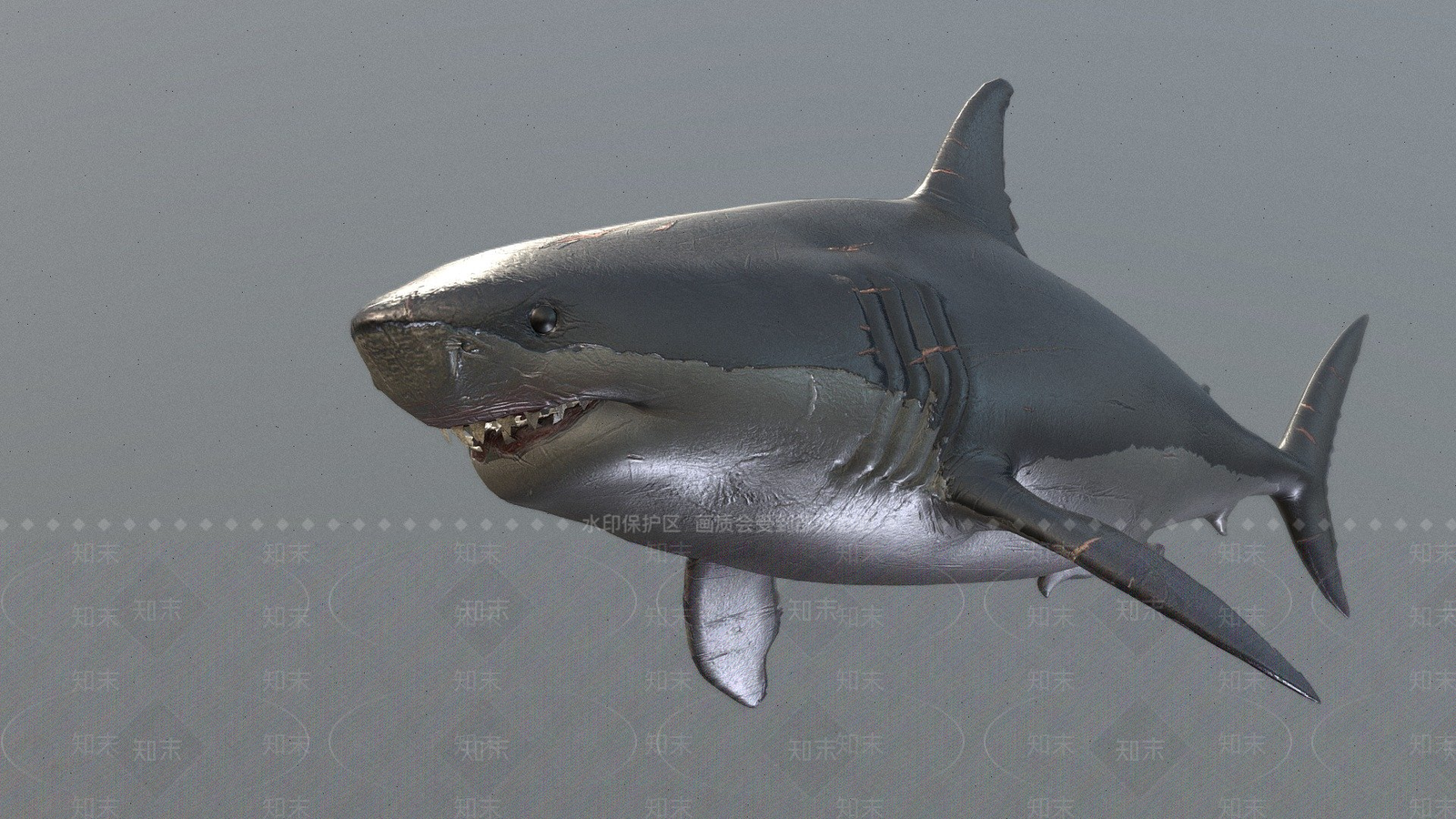 其他动物3D模型下载【ID:1197423218】