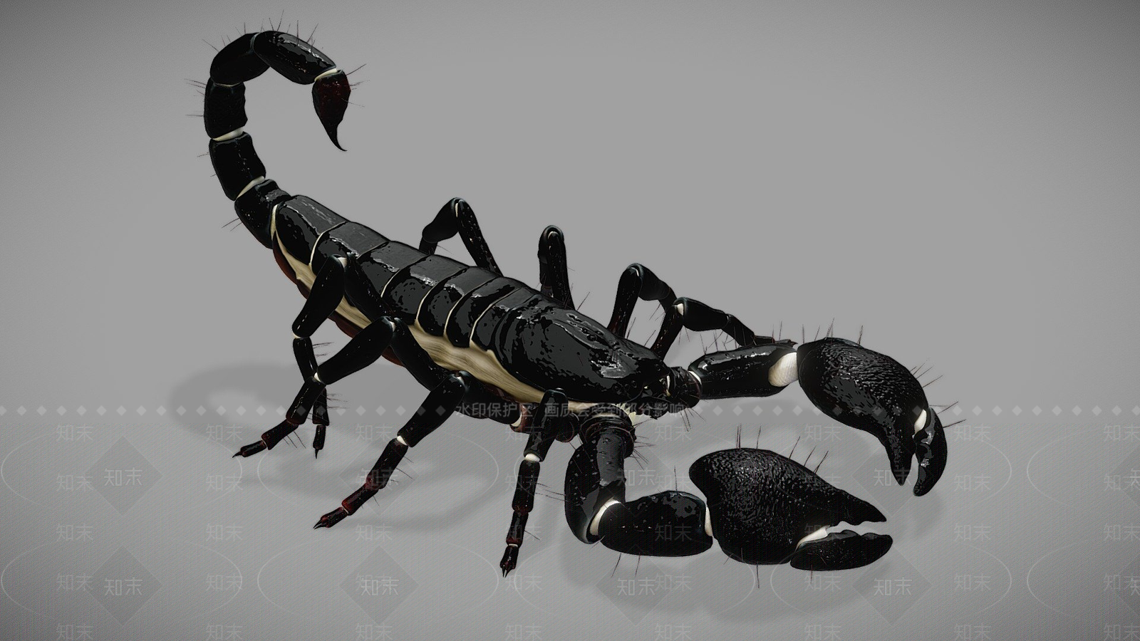 其他动物3D模型下载【ID:1197424100】