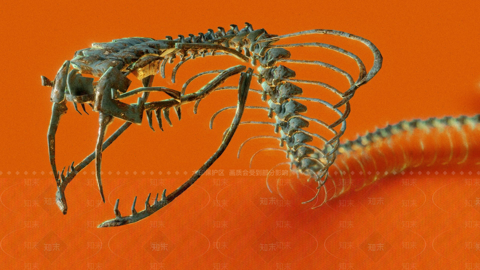 虚拟人物3D模型下载【ID:1197426766】