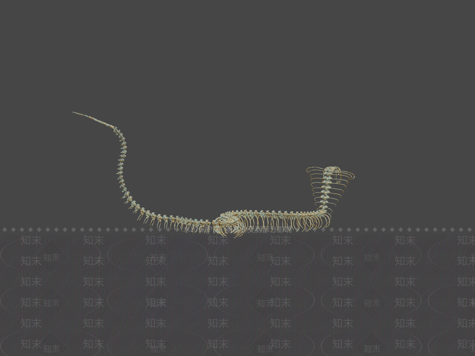 虚拟人物3D模型下载【ID:1197426766】