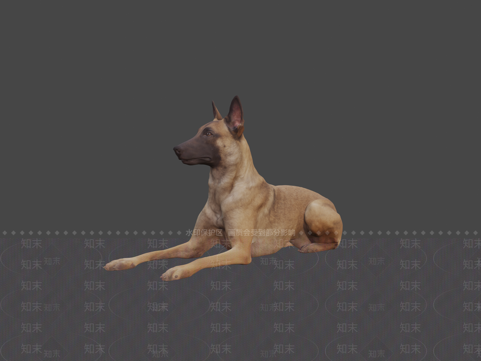 虚拟人物3D模型下载【ID:1197428188】