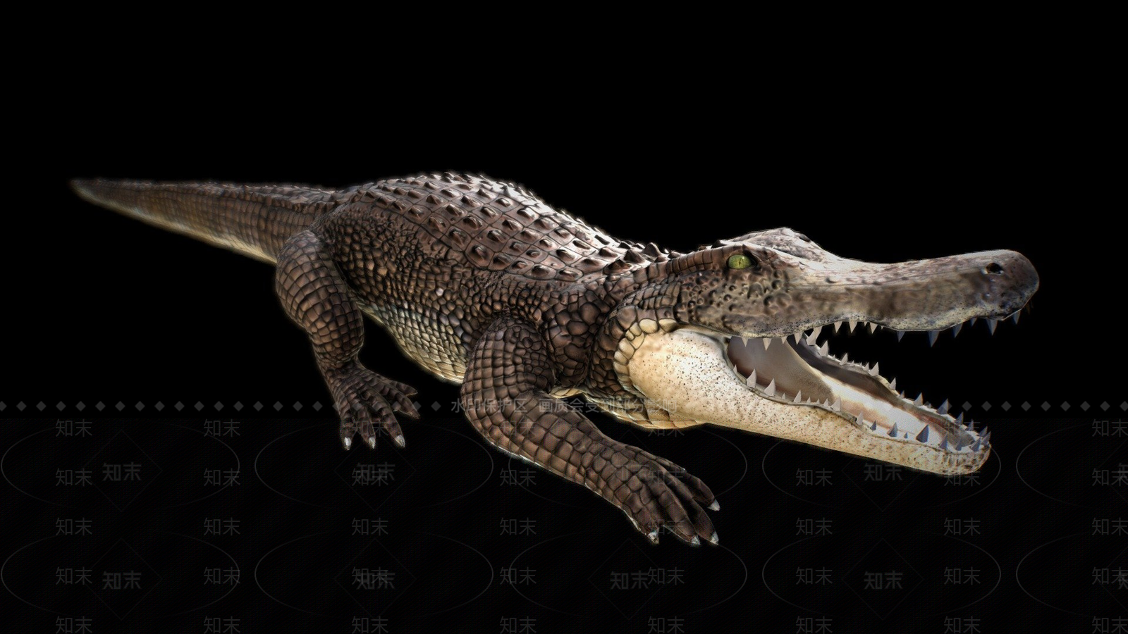 其他动物3D模型下载【ID:1197428608】