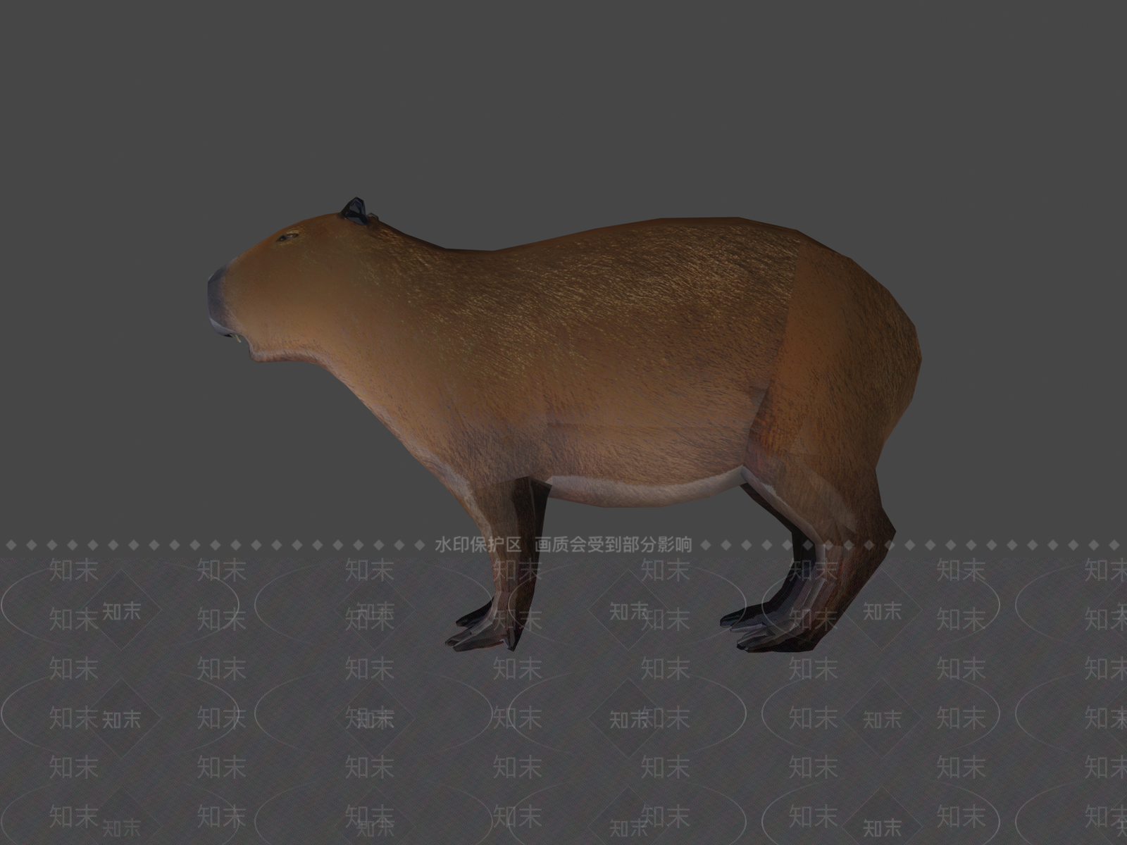 其他动物3D模型下载【ID:1197429360】