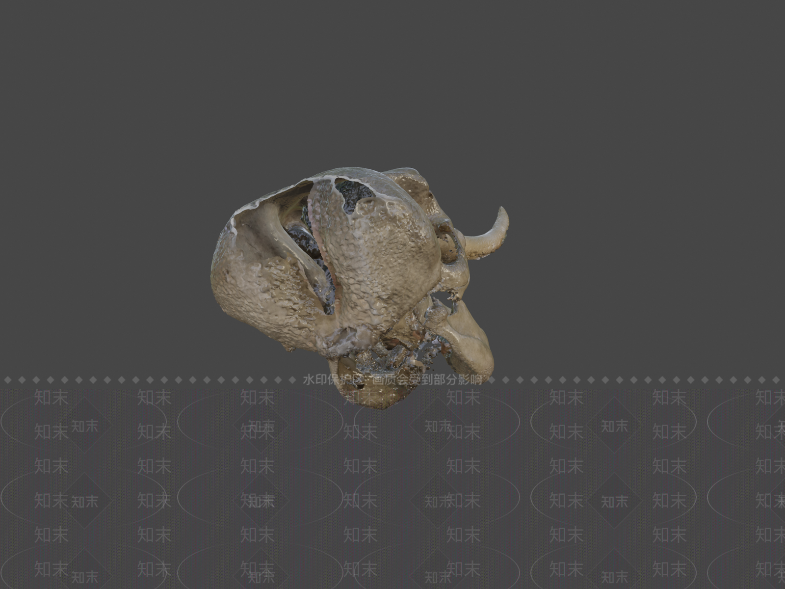 其他动物3D模型下载【ID:1197429747】