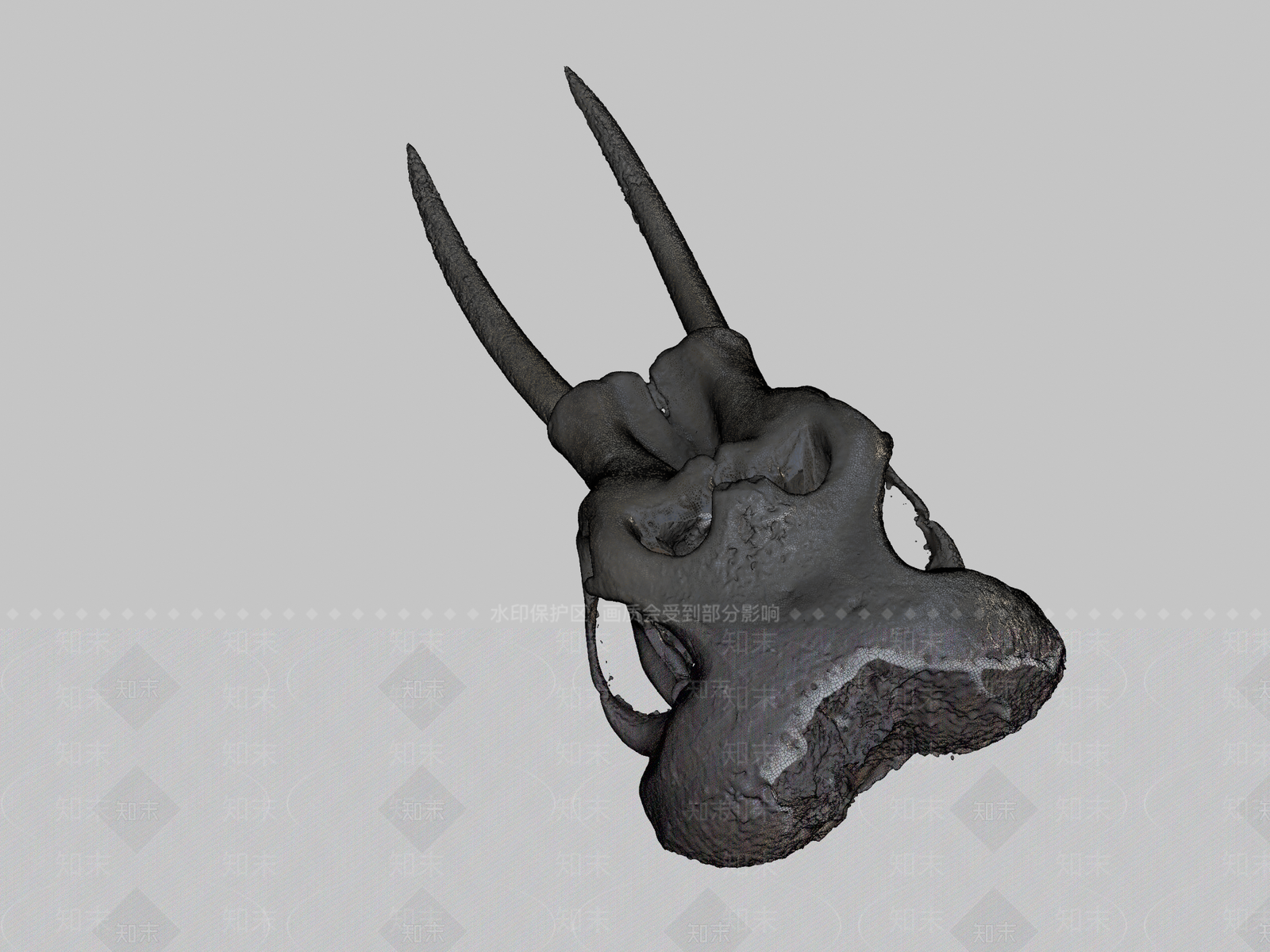 其他动物3D模型下载【ID:1197429747】